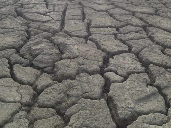 Dry cracked soil