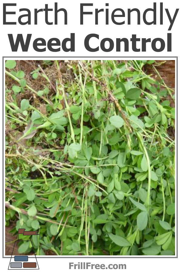Earth Friendly Weed Control