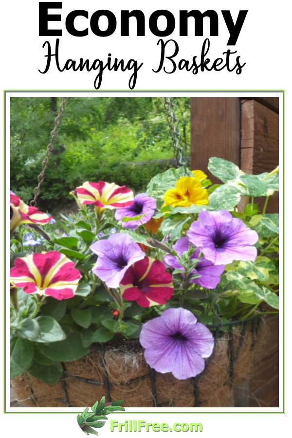 economy-hanging-baskets600x900.jpg