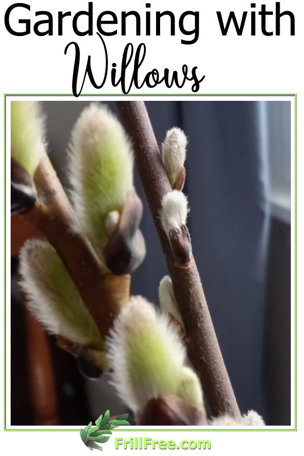gardening-with-willows600x900.jpg