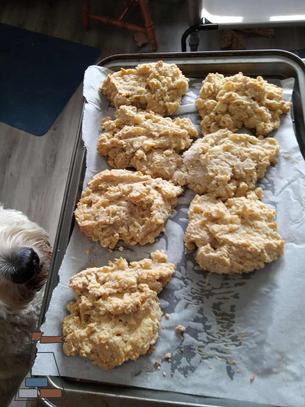 gluten-free-cheesy-oatmeal-scones-fresh-out-of-the-oven600x800.jpg