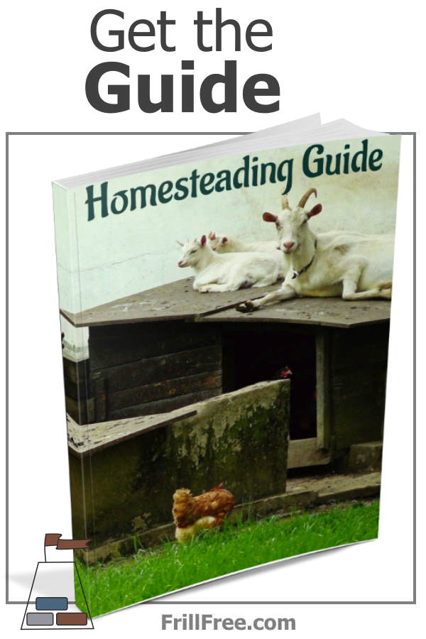 homesteading-guide-600x900.jpg