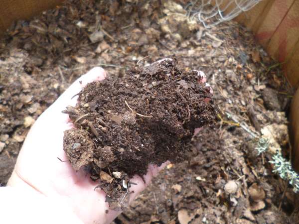 Finished Hot Compost