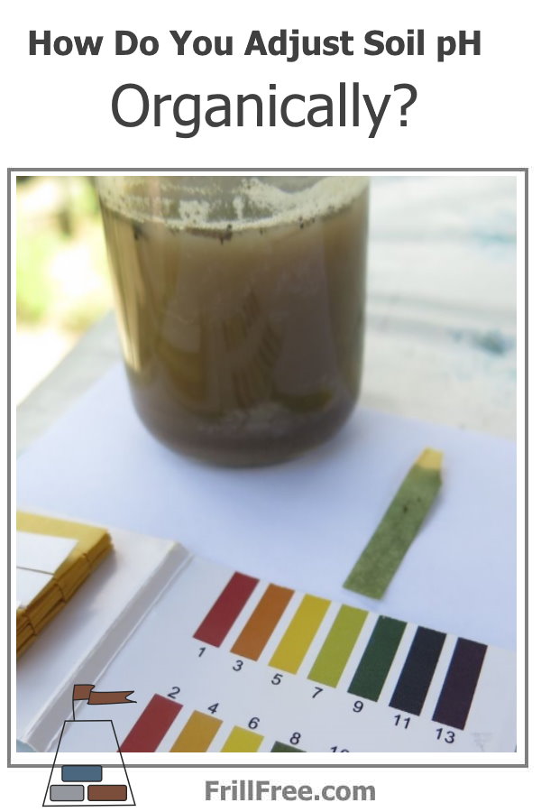 Soil pH strips and dissolved soil in water