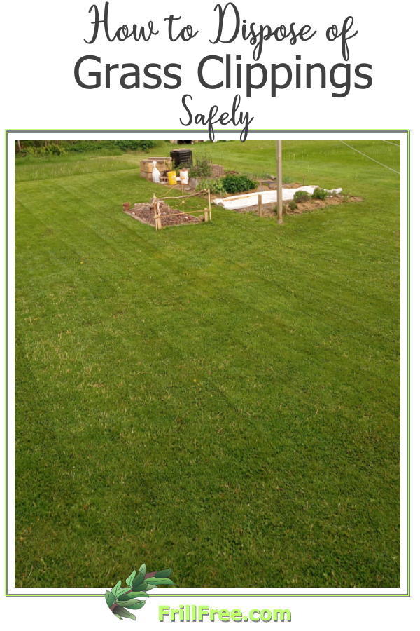how-to-dispose-of-grass-clippings-safely-600x900.jpg