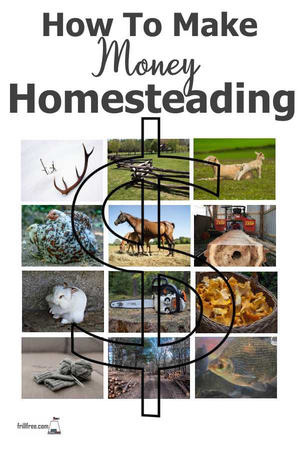 How To Make Money Homesteading