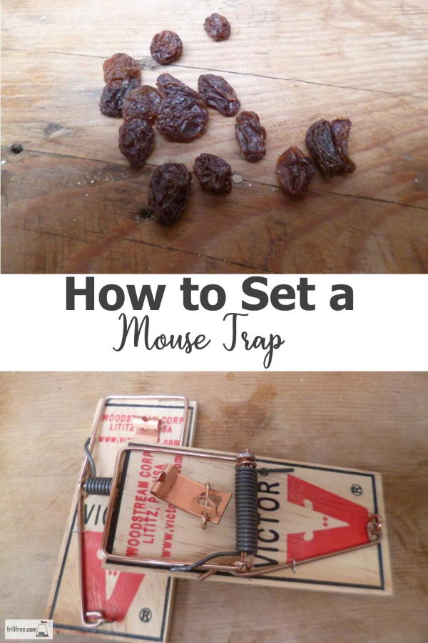 How to Set a Mouse Trap