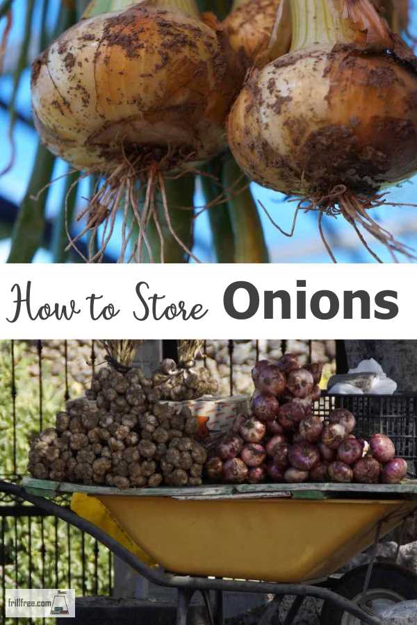 How to Store Onions