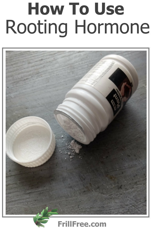 how-to-use-rooting-hormone-600x900.jpg