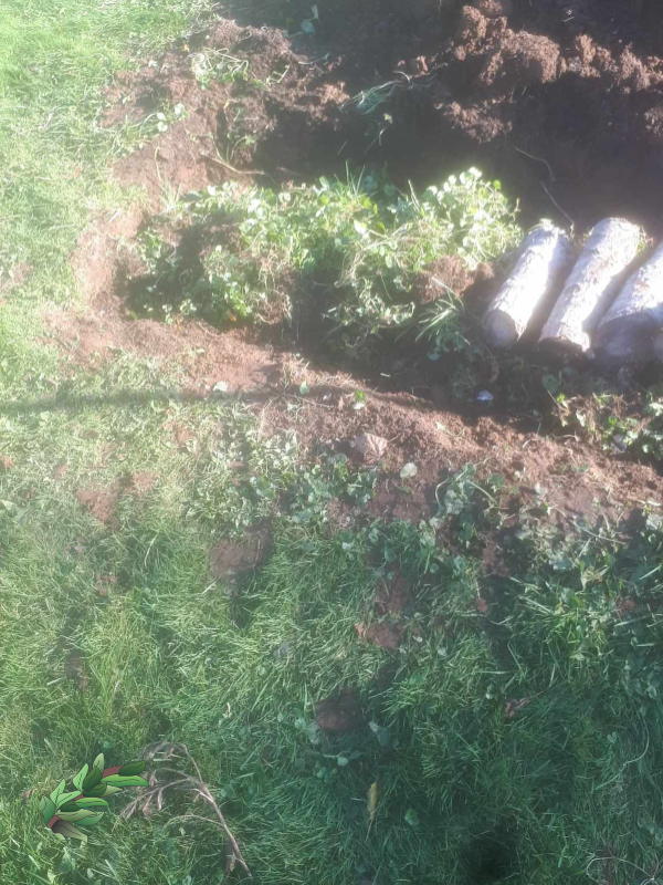 hugelkultur-under-ground-first-layer-weeds.jpg
