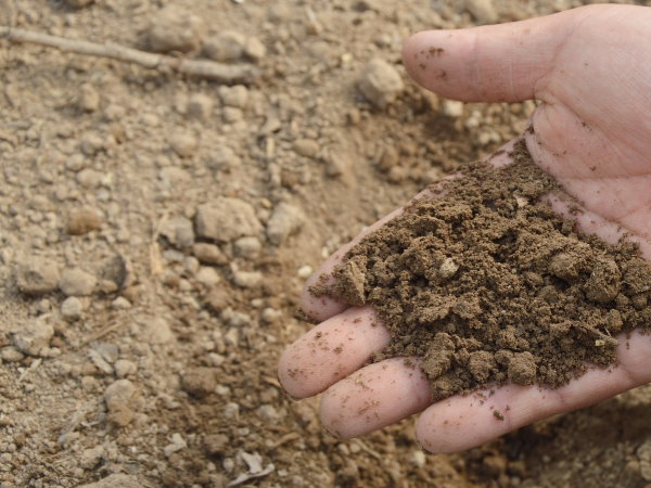 hand holding mineral soil