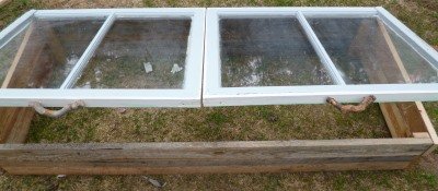 Old Window Cold Frame - opened for ventilation
