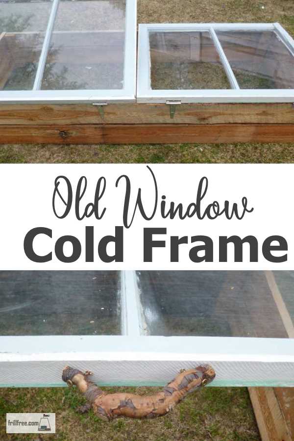 Old Window Cold Frame