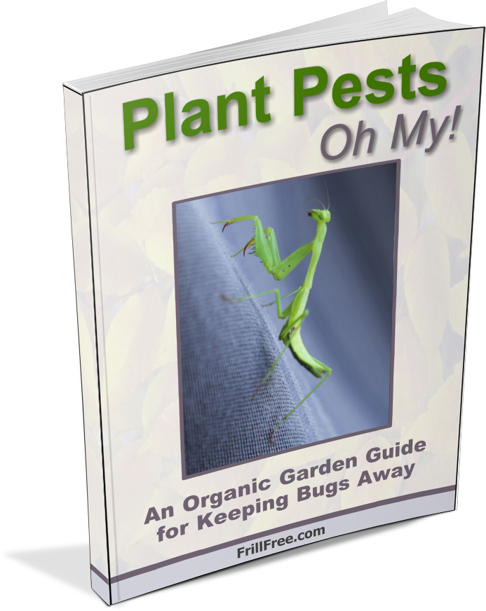 Plant Pests  Handbook