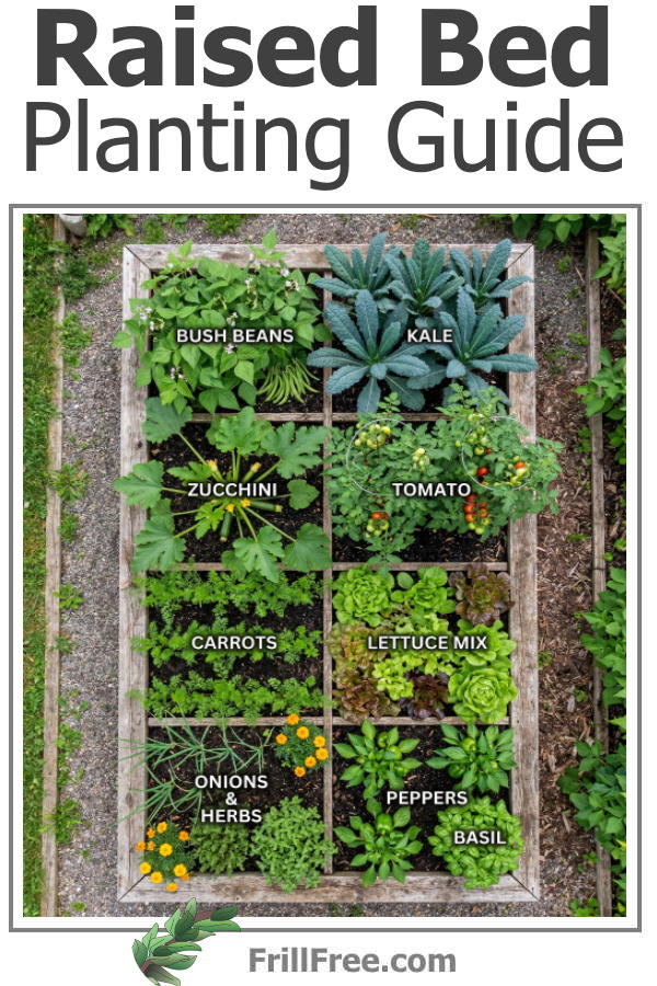 raised-bed-planting-guide600x900.jpg