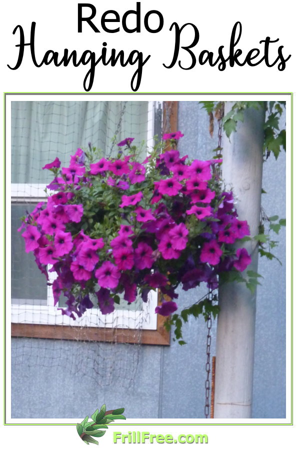 redo-hanging-baskets600x900.jpg