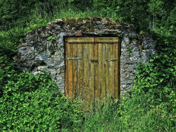 Rugged Stone and Rustic Root Cellar