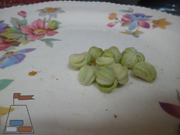 Nasturtium seeds drying on a plate