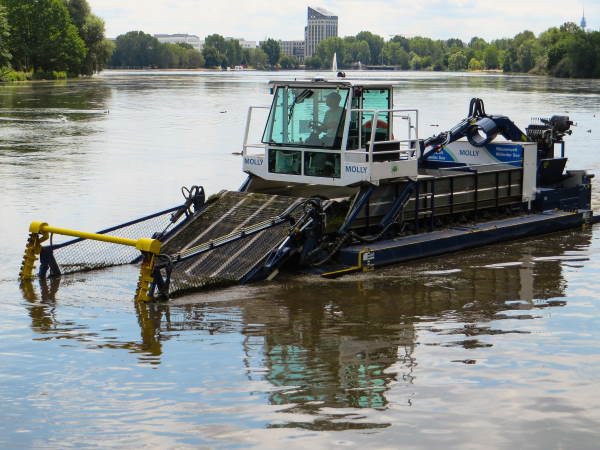 Eurasian Milfoil removal