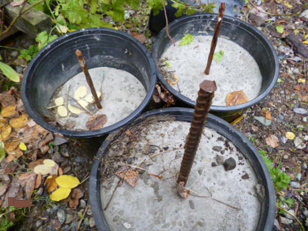 Cement in pots with rebar or spikes