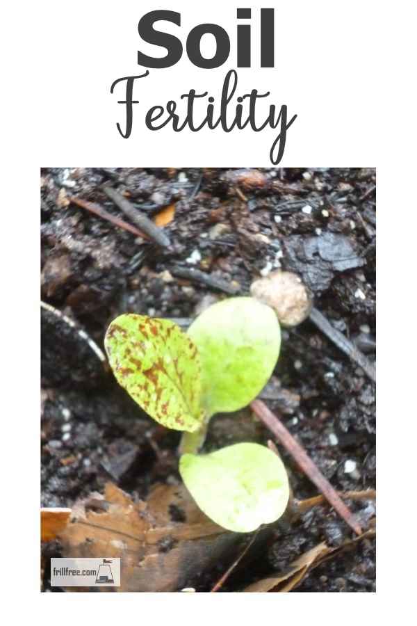 Adding the right soil ammendments to ensure optimum nutrients - Soil Fertility...