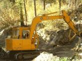 Building the Root Cellar