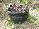 Compost Pile