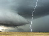 Thunderstorm Protection for Plants