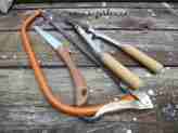 Tree Pruning Tools