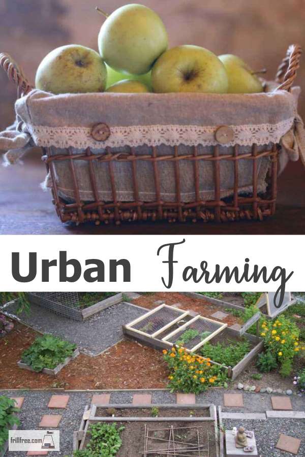 Urban Farming