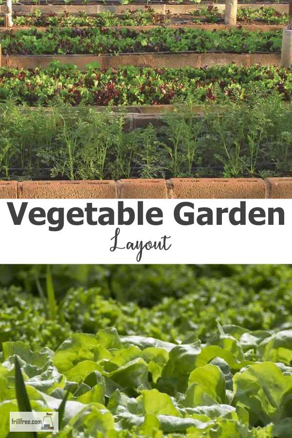 Organic Vegetable Garden Layout
