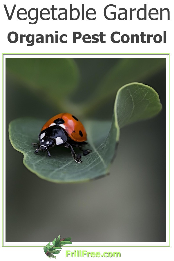 vegetable-garden-organic-pest-control600x900.jpg