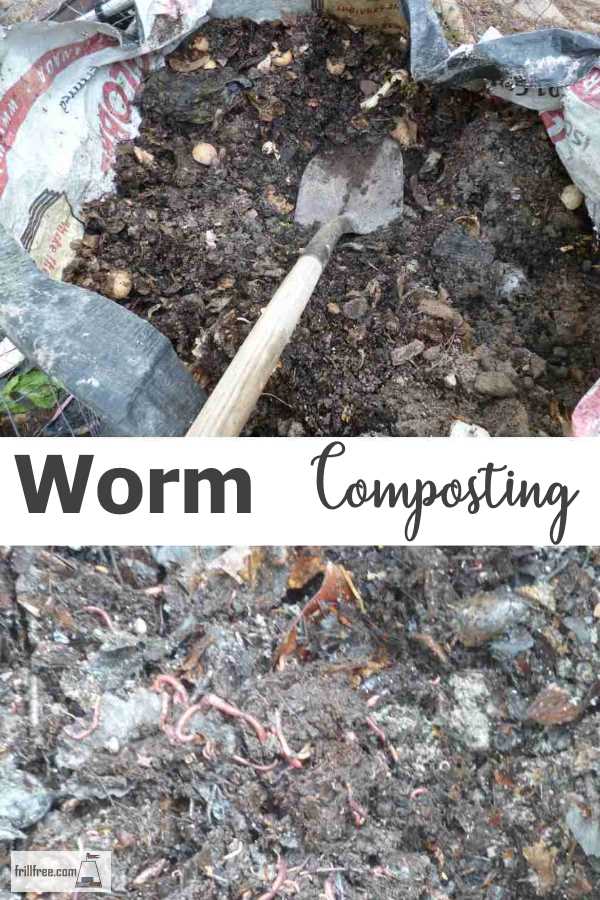 Worm Composting